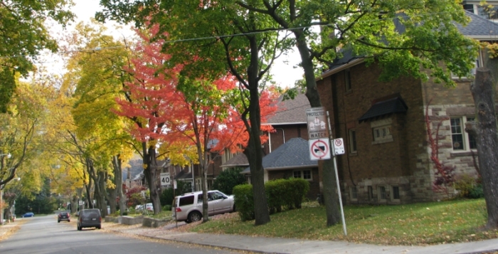 beautiful tree lined residential street in Toronto