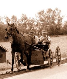 horse and buggy
